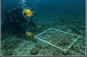 Seabed Inspection/Survey & Salvage Operations